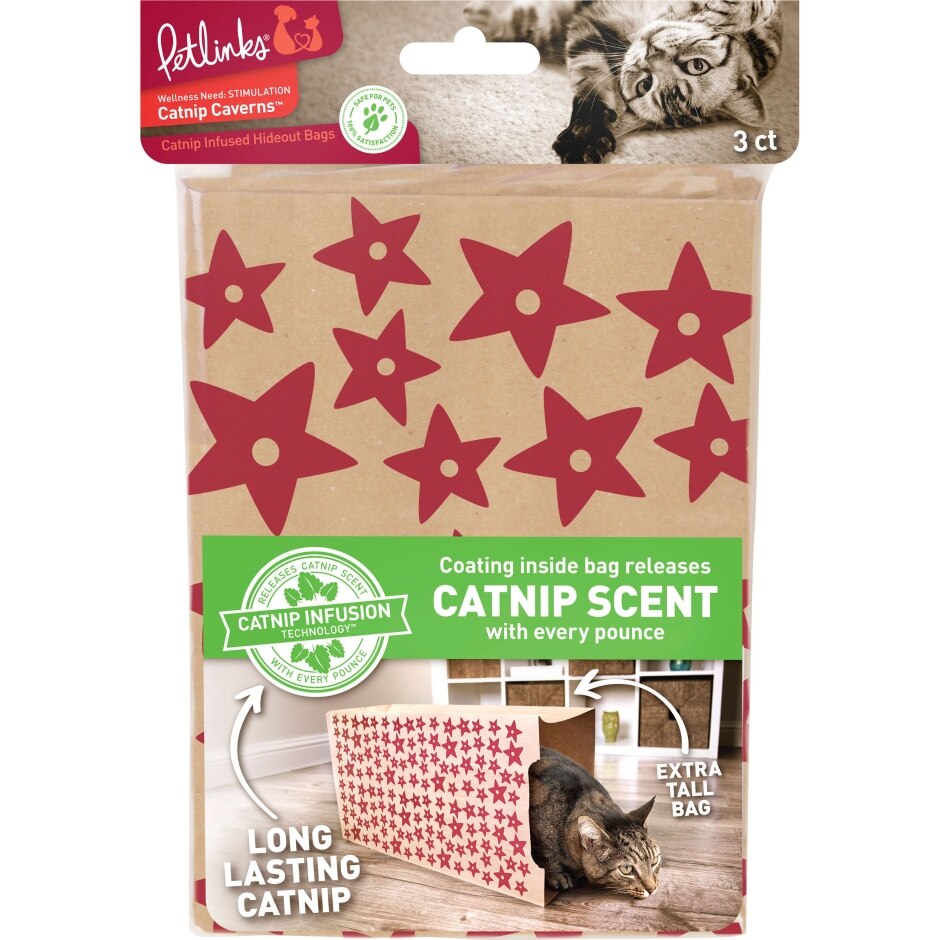 PETLINKS CATNIP CAVERNS CATNIP INFUSED PAPER BAGS North Brunswick, NJ