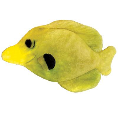 Kittybelles Yellow Tang