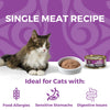 Koha Kangaroo Cat Food: Limited Ingredient Diet Kangaroo for Cats