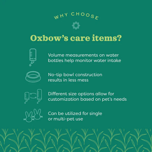Oxbow Animal Health Enriched Life  Wood Brush & Comb
