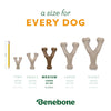 Benebone  Pumpkin Spice Wishbone Limited Edition Durable Dog Chew Toy