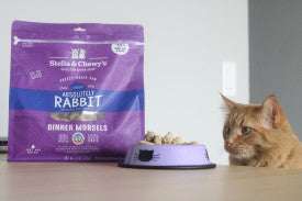 Stella & Chewy's Absolutely Rabbit Freeze-Dried Morsels Cat Food