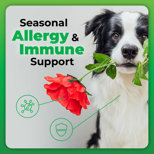 VetriScience Derma Strength™ Dog Chews