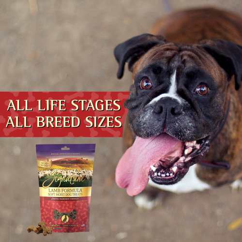 Zignature Lamb Soft Moist Treats for Dogs