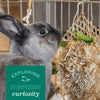 Oxbow Animal Health Enriched Life – Wobble Teaser