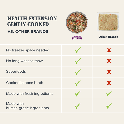 Health Extension Gently Cooked Grain Free Salmon Recipe
