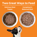 Koha Limited Ingredient Diet Chicken Entrée for Dogs