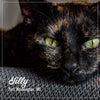 Fromm Purrsnickitty Duck Liver Pâté Cat Food