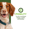Fromm Family Mobility Functional Dog Treats