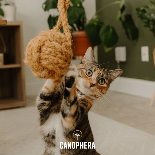 Canophera Natural Cat Toys