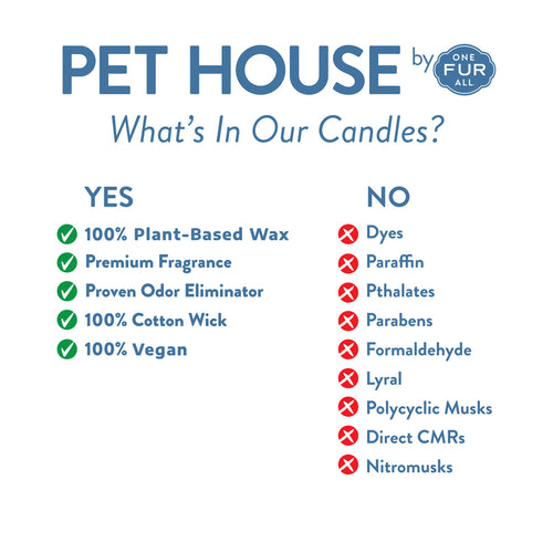 Pet House Breakfast In Bed Candle