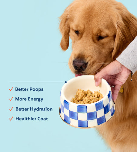 My Perfect Pet Glycemic Friendly Beef Buddy's