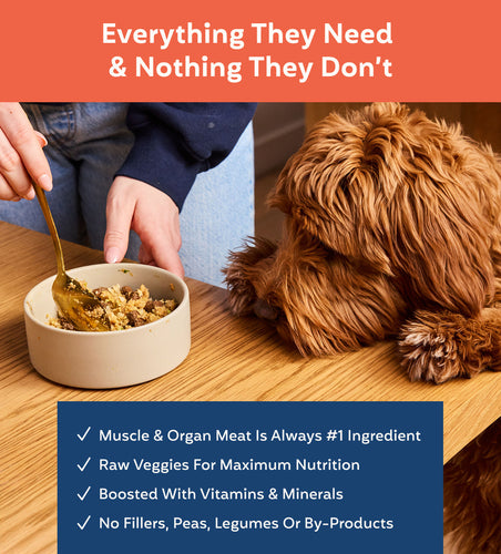 My Perfect Pet Glycemic Friendly Beef Buddy's