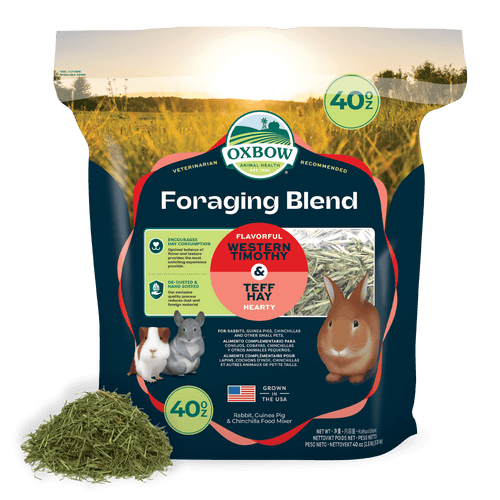 Oxbow Foraging Hay Blend Teff & Western Timothy Hay