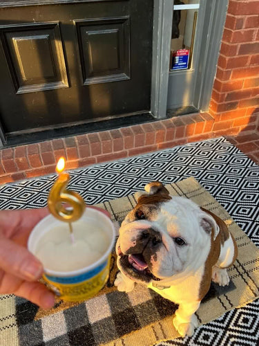 The Bear & The Rat Banana & Peanut Butter Dog Ice Cream Treat