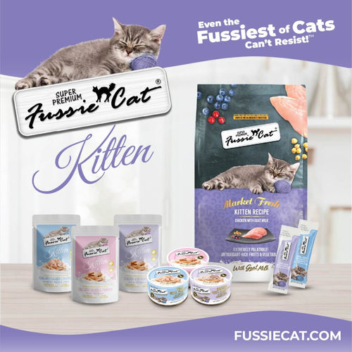 Fussie Cat Chicken with Pumpkin In Goat Milk Mousse & Shreds Kitten Recipe