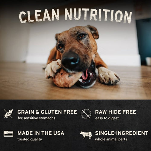 Vital Essentials Freeze-Dried Raw Bar Duck Necks Single Ingredient Dog Chews