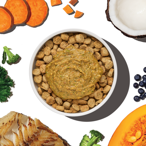 The Honest Kitchen Protein Plus Grain Free Fish Topper for Dogs