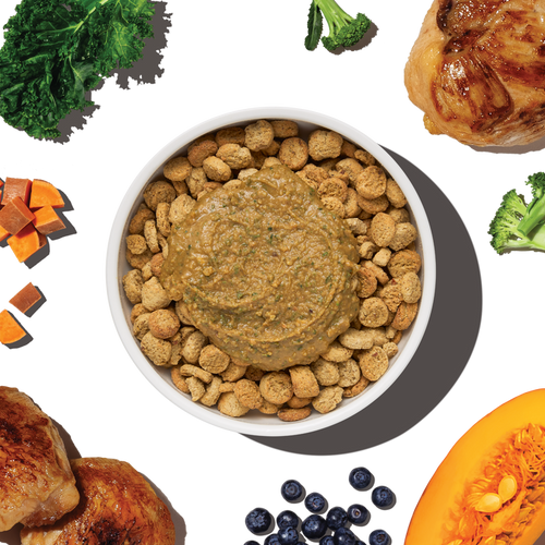 The Honest Kitchen Protein Plus Grain Free Chicken with Superfoods Topper