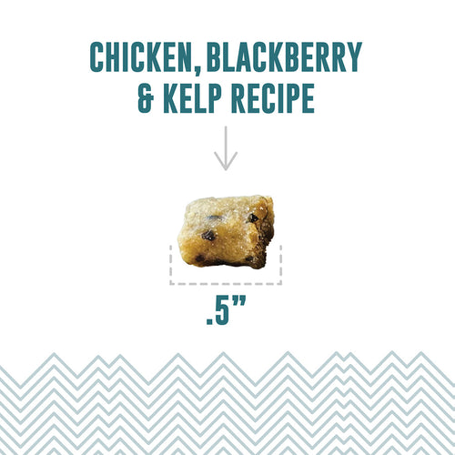 Icelandic+ Chicken, Blackberry & Kelp Recipe Soft & Chewy Bites for Cats