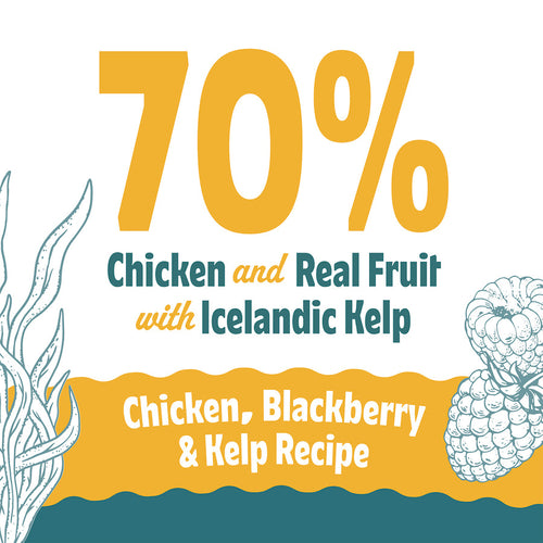 Icelandic+ Chicken, Blackberry & Kelp Recipe Soft & Chewy Bites for Cats