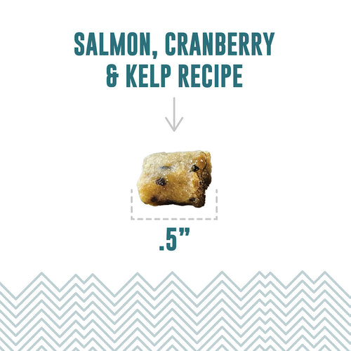 Icelandic+ Salmon, Cranberry & Kelp Recipe Soft & Chewy Bites for Cats