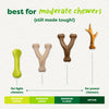 Benebone Green Wishbone Plant-Based Dog Toy for Moderate Chewers