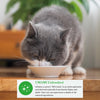 Inaba Dashi Delights Chicken with Scallop Recipe Cat Treats