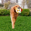 KONG Ziggles Chicken Dog Toy