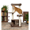 PREVUE PET KITTY POWER PAWS LEOPARD LOUNGE