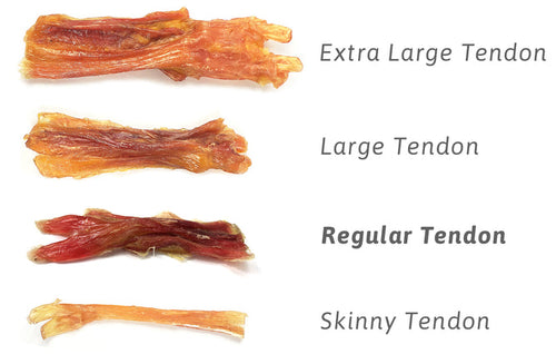 Tuesday's Natural Dog Company Regular Beef Tendons - Single