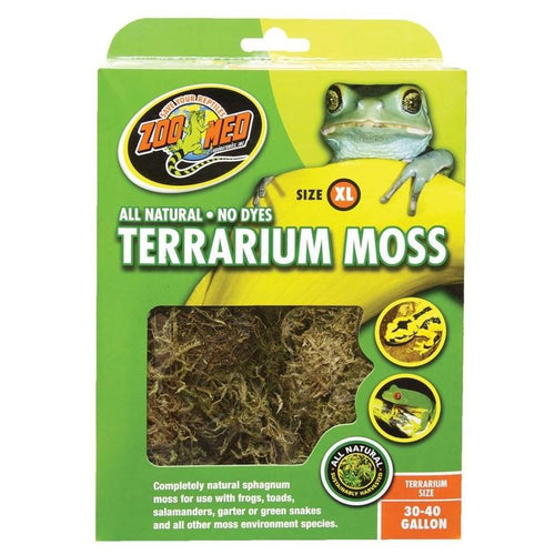 TERRARIUM MOSS