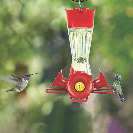 Perky-Pet® Pinch-Waist Glass Hummingbird Feeder - 8 oz Nectar Capacity