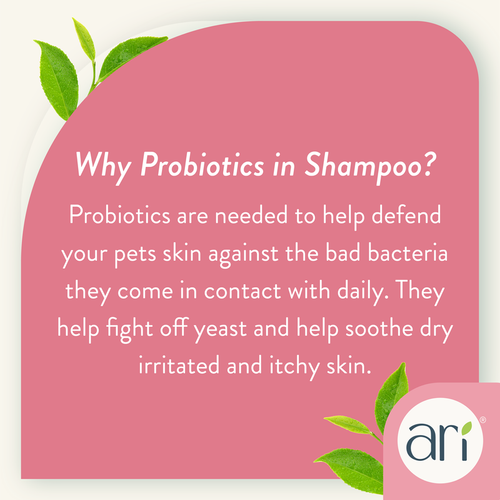 Health Extension ARI Probiotic Flea & Tick Shampoo (16 oz)