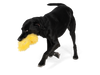 West Paw Geraldine Dog Toy (Lemon)