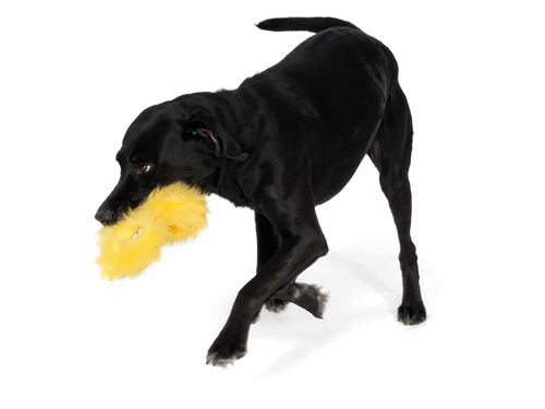 West Paw Geraldine Dog Toy (Lemon)