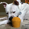 Bullymake Popcorn Bucket Dog Toy (Built for dogs 20-180lbs)