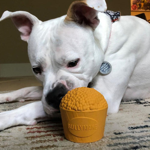 Bullymake Popcorn Bucket Dog Toy (Built for dogs 20-180lbs)