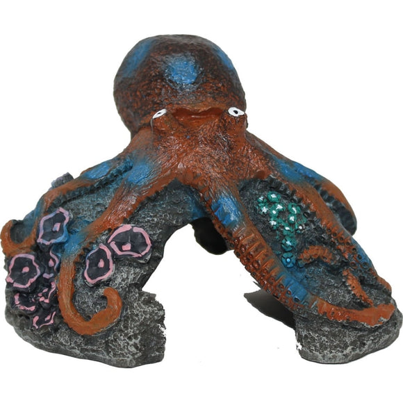 EXOTIC ENVIRONMENTS BLUE RING OCTOPUS