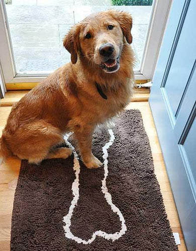 Large Chocolate Brown Absorbent Dog Mat